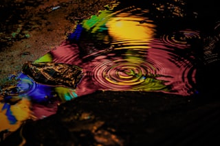a puddle of water with a rock in it